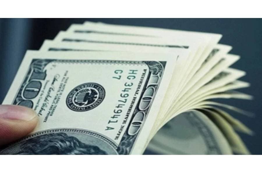 Remittance inflow registers 11.6pc growth, reaches $1.15b in July’s first 11 days
