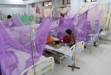 Dengue claims 2 more lives, 391 hospitalised