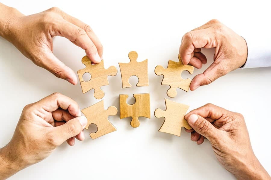 Puzzles in Life