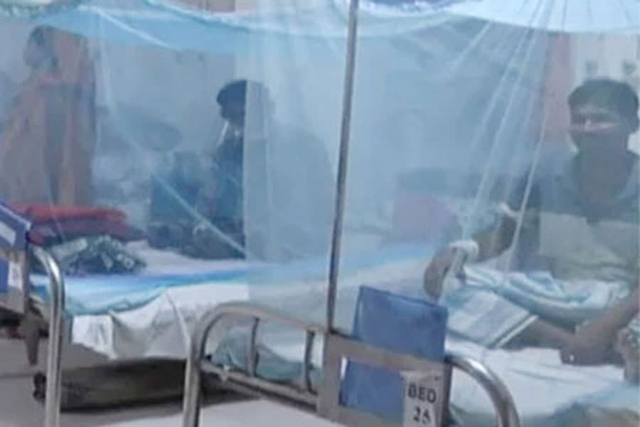 Dengue in coastal districts