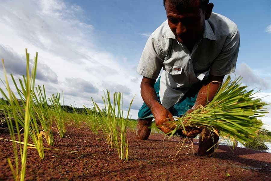 BB prods banks to attain farm credit target