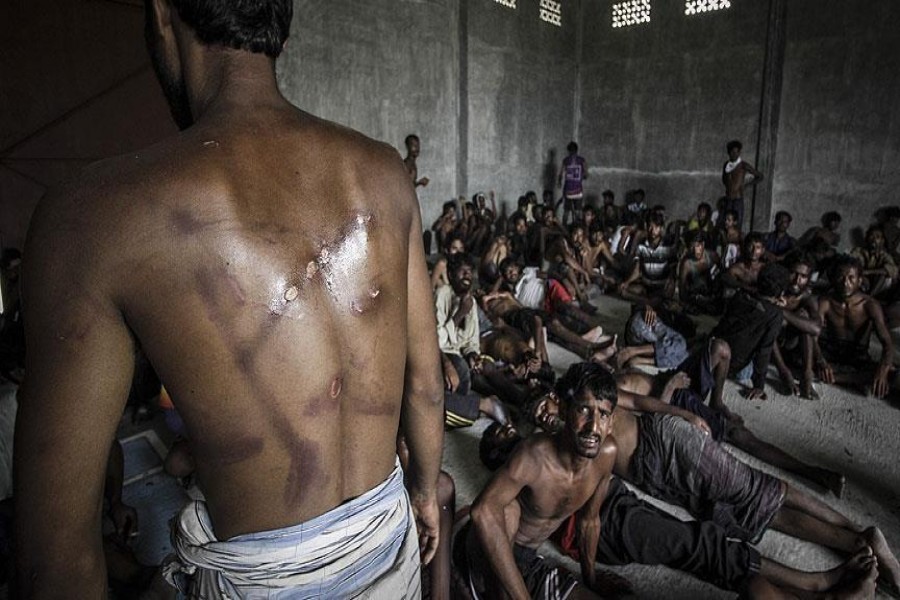 Rohingya pogrom   