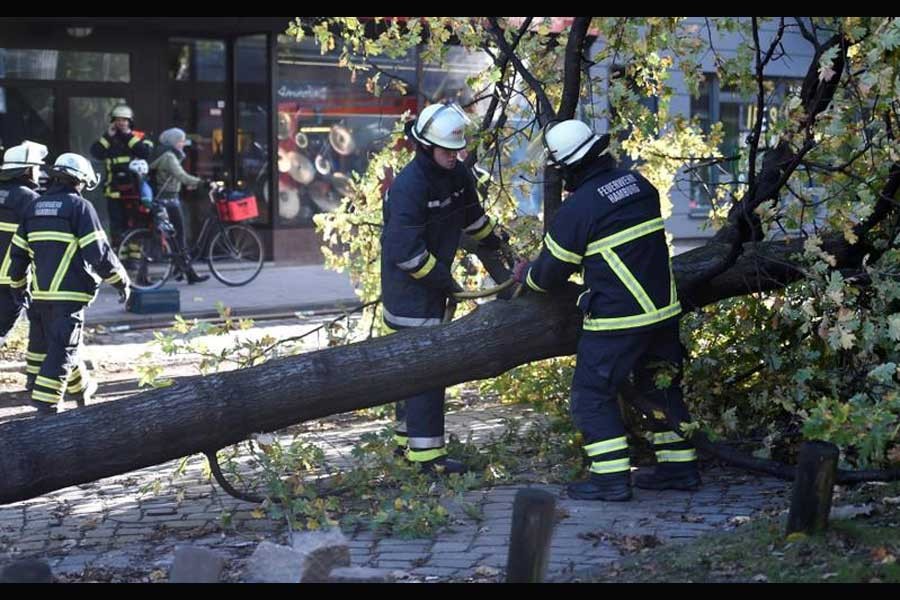 Frefighters work on a tree that fell during stormy weather caused by a storm called "Herwart," in Hamburg, Germany October 29, 2017. (Reuters photo)