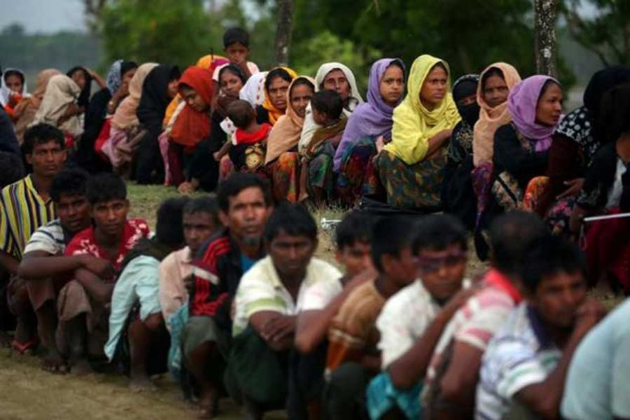 EU wants dignified return of Rohingyas
