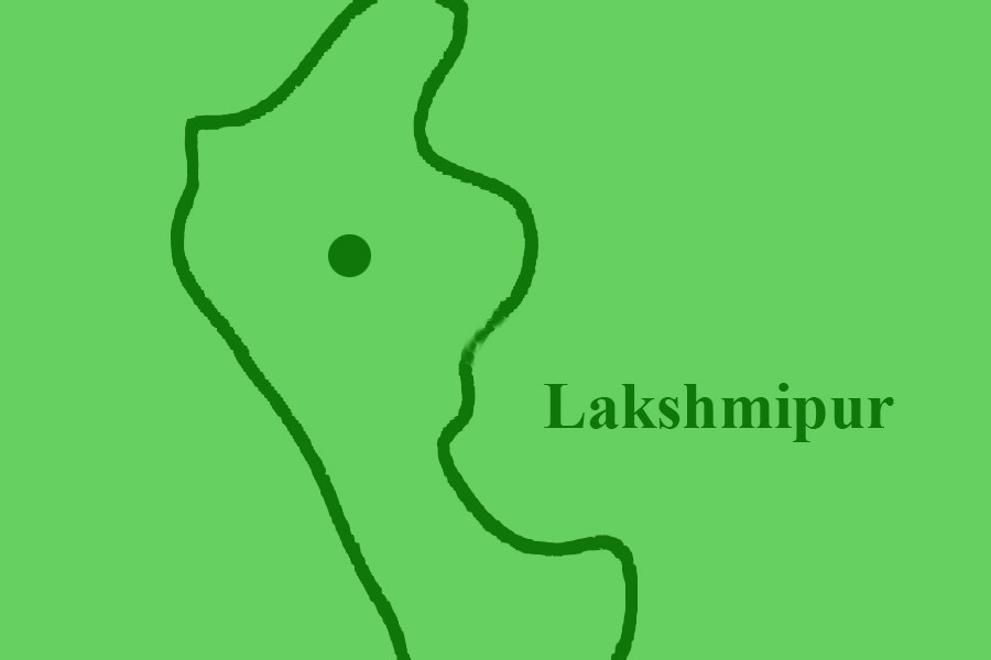 Twin brothers die in Lakshmipur road crash
