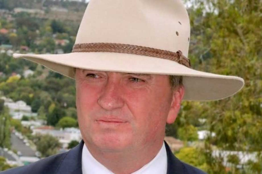 Australian deputy PM to quit over staffer affair