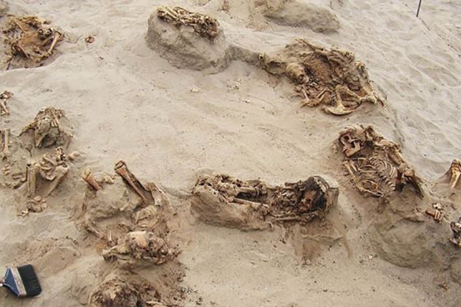 Archaeologists find massive child sacrifice in Peru