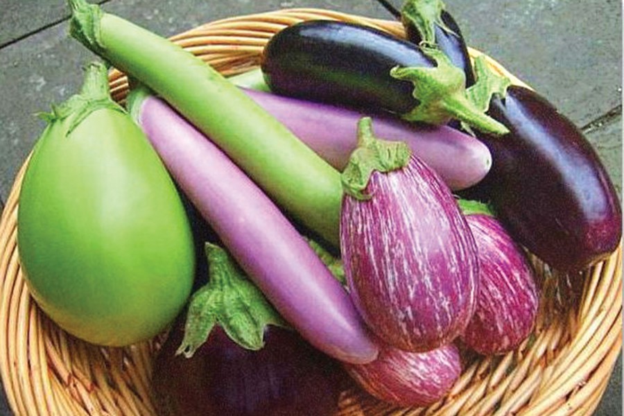 Brinjal prices spike in city markets