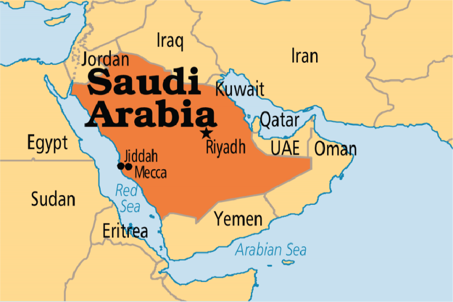 KSA 'seeks death penalty for woman activist'