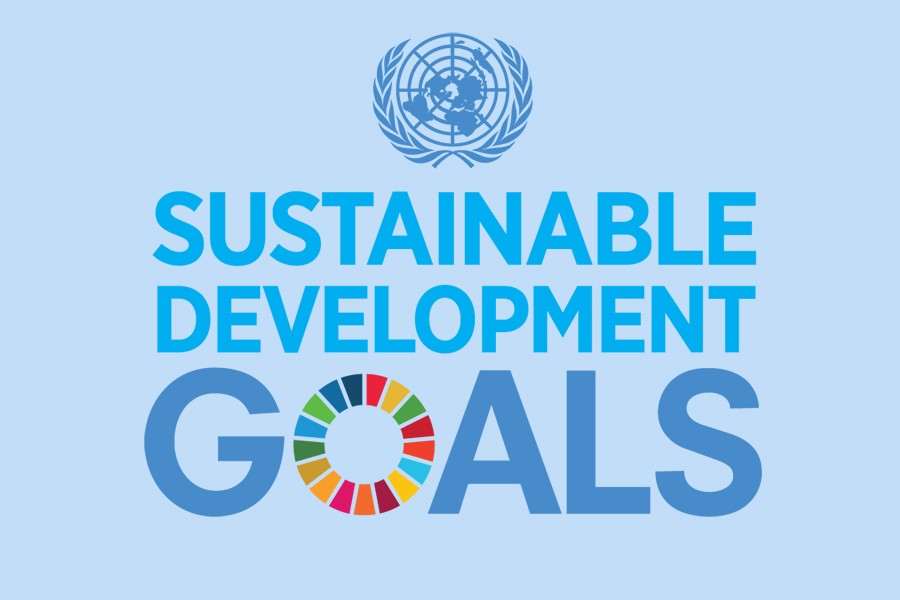 Moving fast to reach sustainable development goals