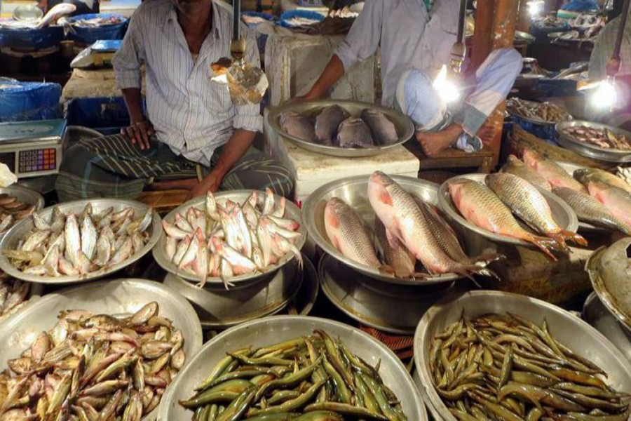 Scarcity of fish in Rangpur region