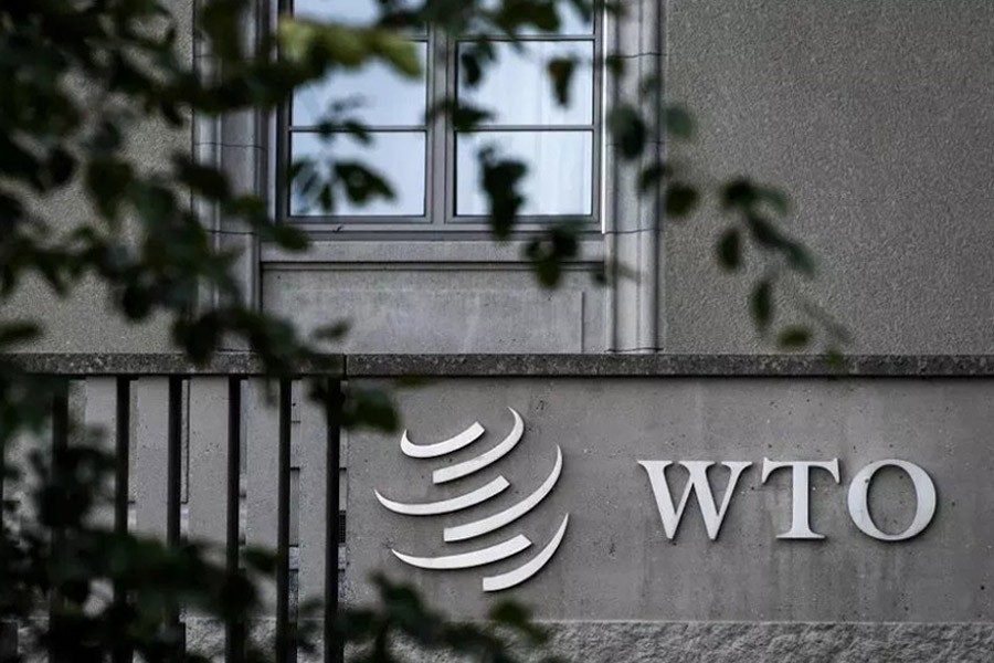 Trade weakness likely to extend into Q1: WTO
