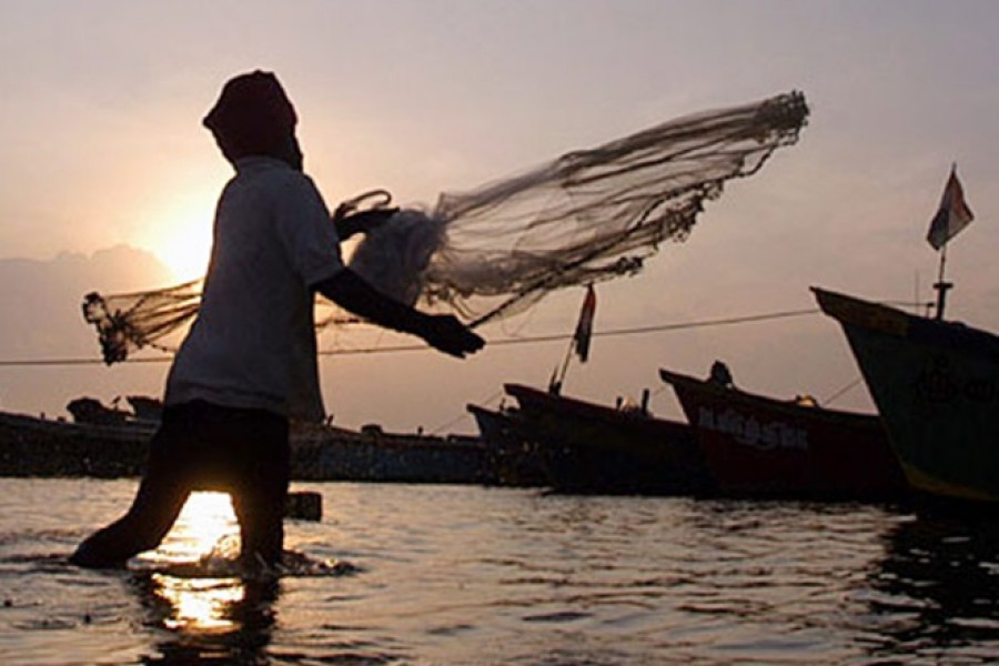 Sustaining the boom in the fisheries sector of the country   