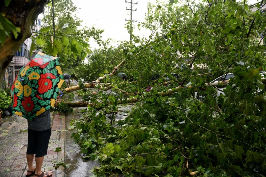A man holding an umbrella stands near a fallen tree after super typhoon Lekima made landfall in Wenling, Zhejiang province, China August 10, 2019. REUTERS/Stringer