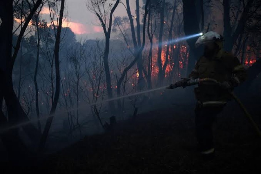 A NSW Rural Fire Service firefighter conducts property protection as a bushfire burns close to homes on Railway Parade in Woodford NSW, Australia, November 8, 2019. AAP Image/Dan Himbrechts/via REUTERS