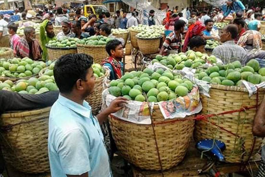 Mango trading gains momentum in Rajshahi, C'nawabganj, Naogaon