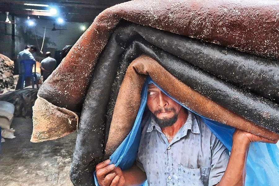 A worker carrying a headload of salted rawhide for a wholesaler at Posta in Dhaka city — FE/Files