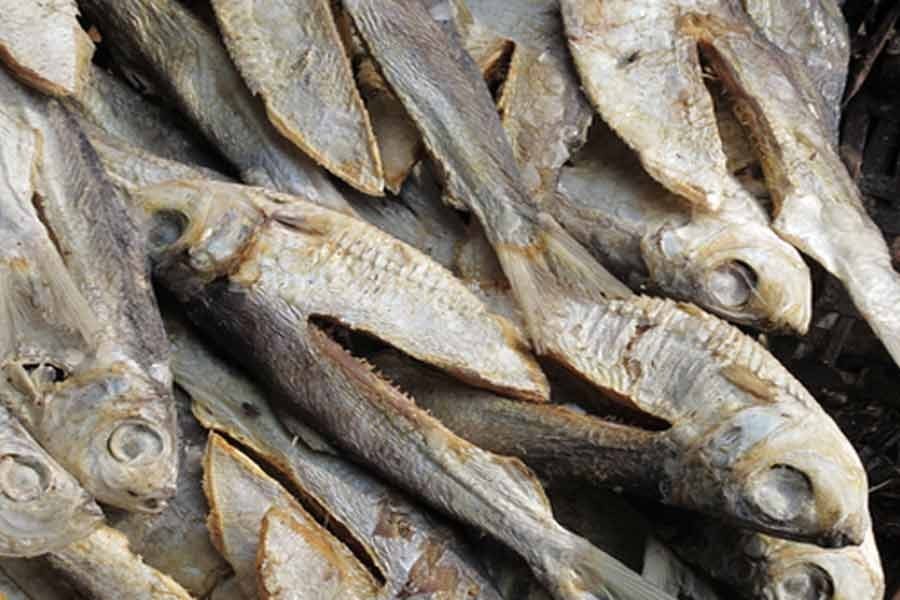 Tapping dry fish potential   