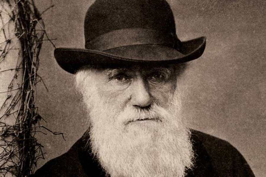Darwin’s notebooks worth millions ‘stolen’ from Cambridge University