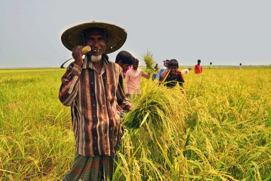 Sector-wide measures in agriculture for lasting food security
