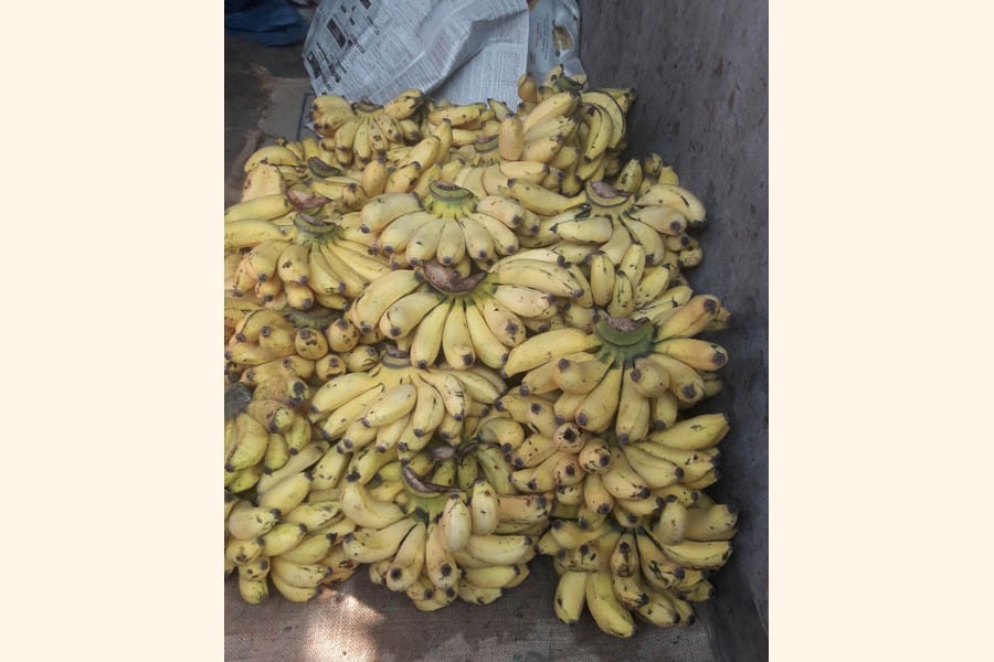 A pile of bunches of bananas in Tangail — FE Photo