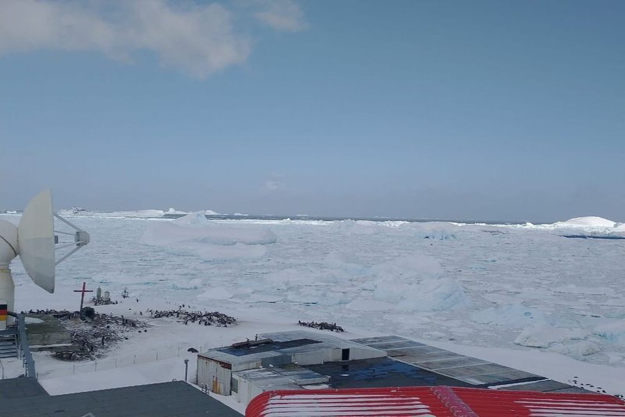 COVID outbreak hits Antarctica