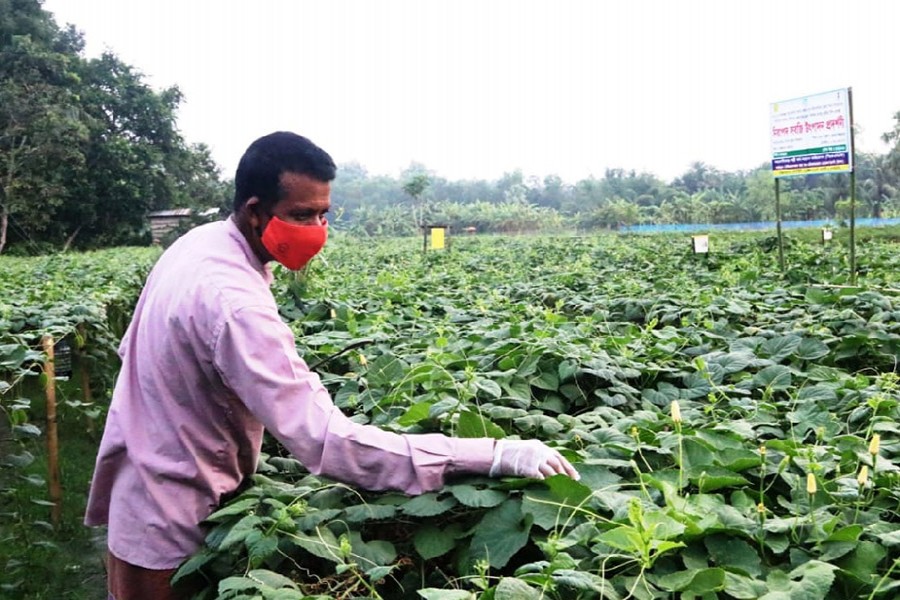 IFAD to provide $18m to rebuild microenterprises, support smallholders  in Bangladesh
