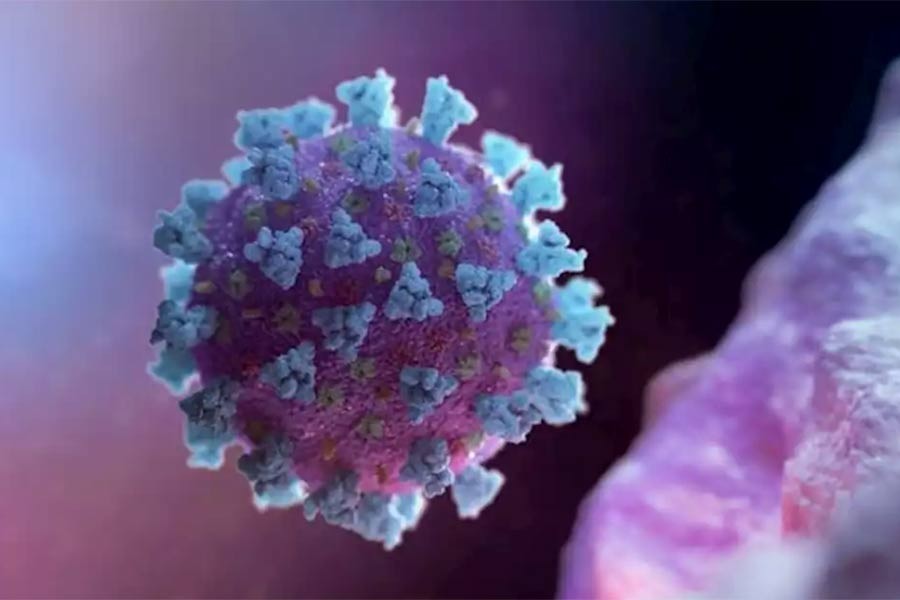 A computer image created by Nexu Science Communication together with Trinity College in Dublin, shows a model structurally representative of a betacoronavirus — via Reuters