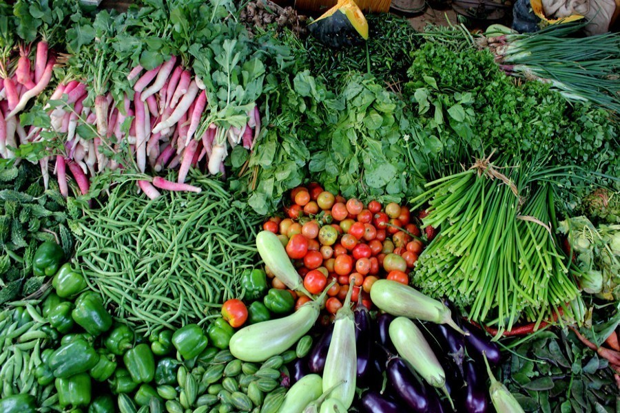 Utilising potential of vegetable export   