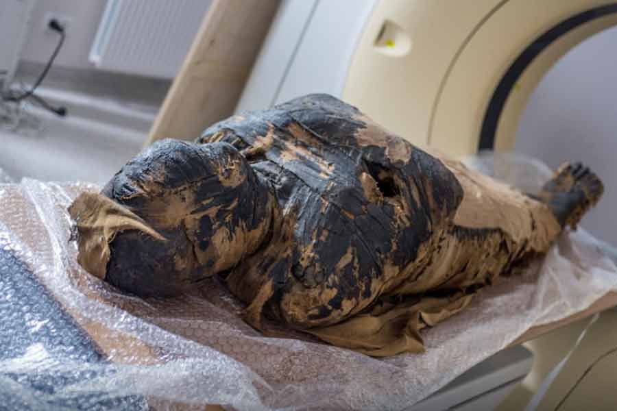 A pregnant Egyptian mummy is pictured during a research work in this undated handout photo -Reuters