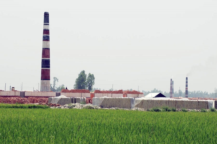 A view of a brick kiln in a crop field under Dhunat upazila of Bogura — FE Photo