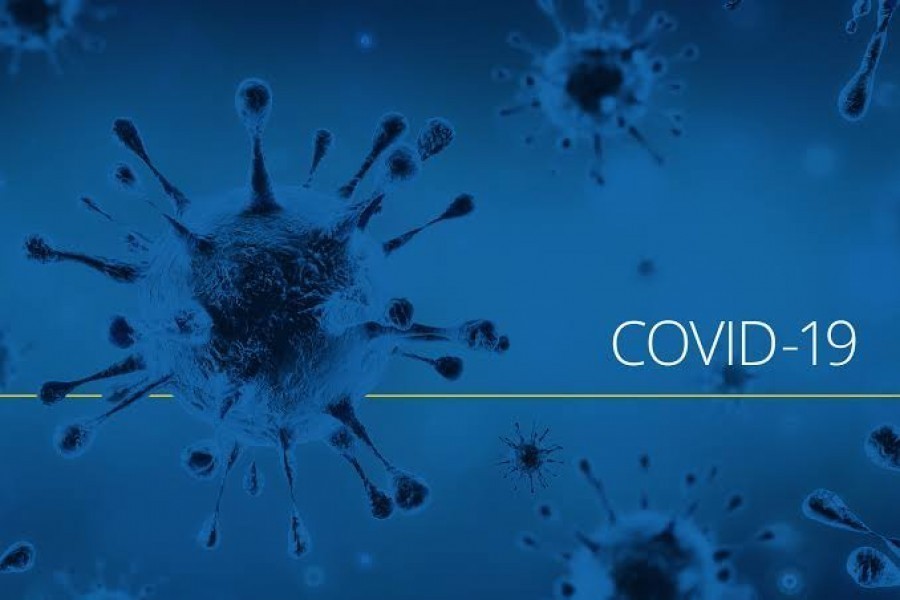 Global coronavirus cases top 160 million