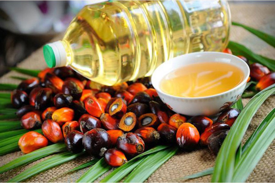 Is palm oil good or bad for you?