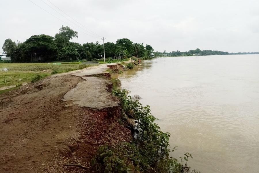 Charpara village road at risk of erosion by the Kangsha river at Barhatta in Netrakona — FE Photo
