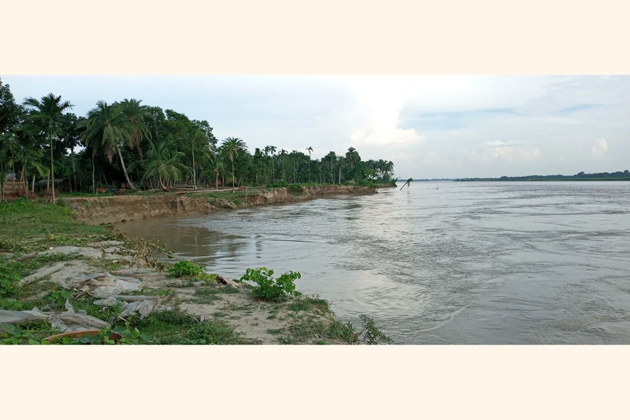 A partial view of the erosion by the Madhumati river in Alfadanga upazila of Faridpur — FE Photo