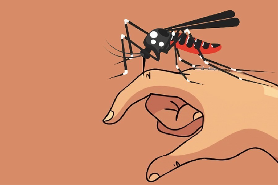 Two die of dengue, 242 others hospitalised