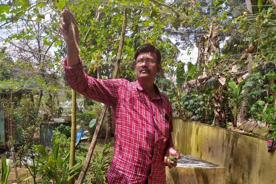 Sugathan P R, who received two doses of Bharat Biotech's domestically developed Covaxin vaccine against the coronavirus disease (COVID-19), collects vegetables in his kitchen garden in Pandalam village, Kerala, India, October 22, 2021. REUTERS
