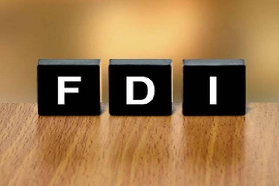 FDI declines slightly in H1
