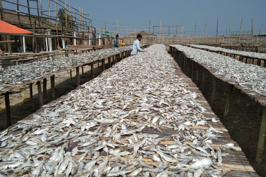 Dried fish processing plagued by problems