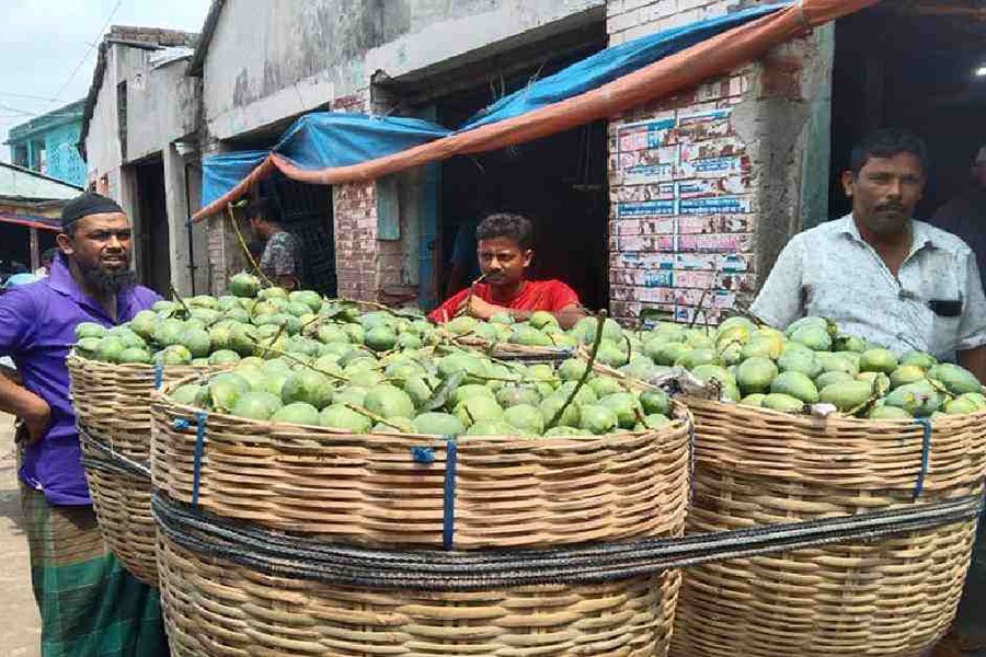 Rajshahi, Chapainawabganj both get GI certificate for Fazli mango 