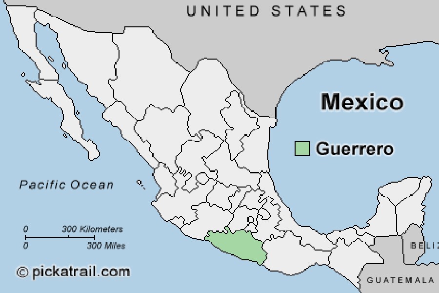 Nine killed in ambush in Mexico