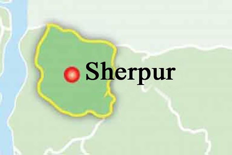 Sherpur police arrest one absconding accused