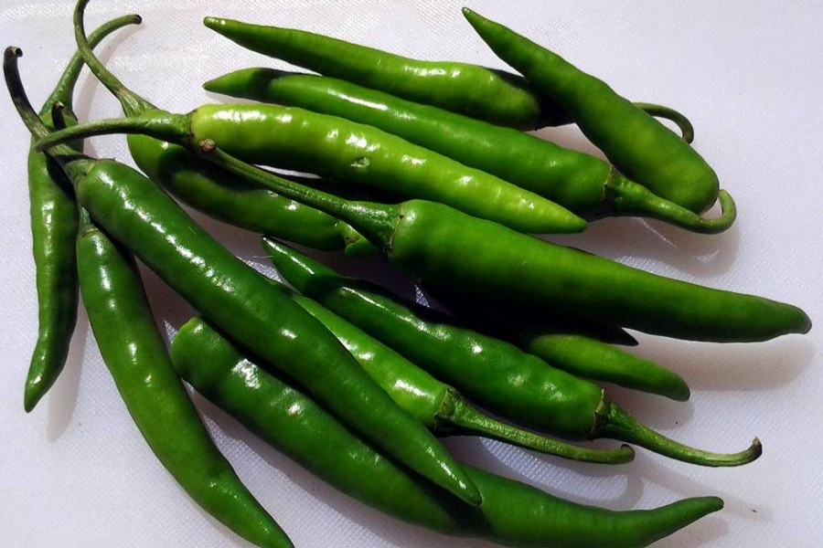 Green chilli rate shoots up in Tangail kitchen market