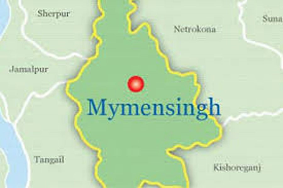 Google map showing Mymensingh district