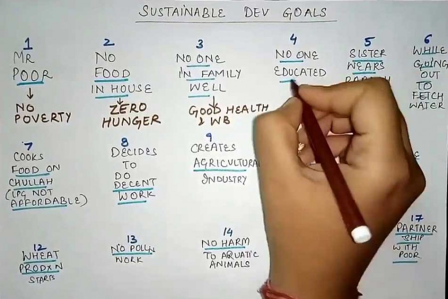Govt okays framework to assess SDG progress