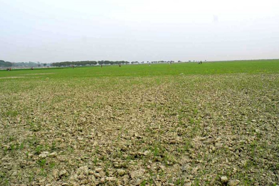 A partial view of the dry riverbed of the Padma in Rajshahi. The photo was taken on Thursday.  	— FE Photo