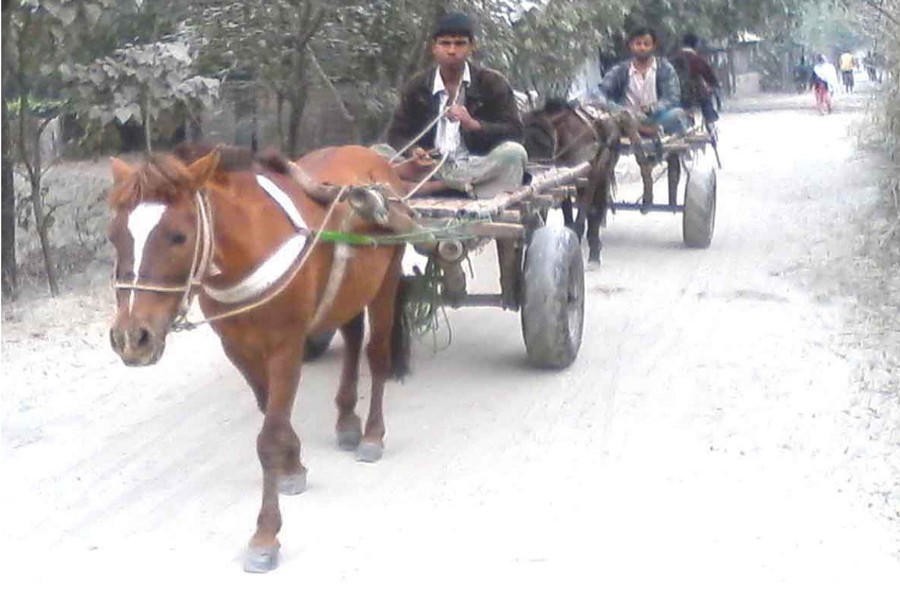 RANGPUR: Horse carts ply Char Thakurdas under Kawnia upazila on Sunday. 	— FE Photo