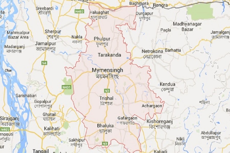 Husband, wife die in Mymensingh  road crash