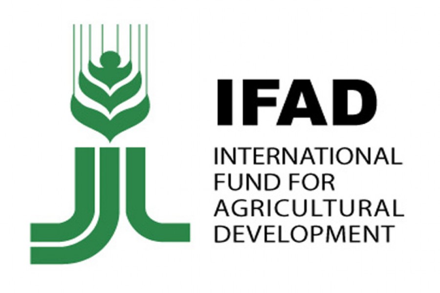 Help remittance-receiving families build future: IFAD