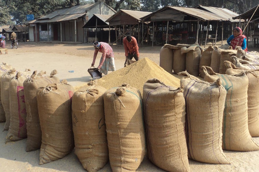JOYPURHAT: The wholesalers of Boro Tara area under Khetlal upazila of Joypurhat district purchasing paddy from the peasants for sale to buyers from other districts	— FE Photo